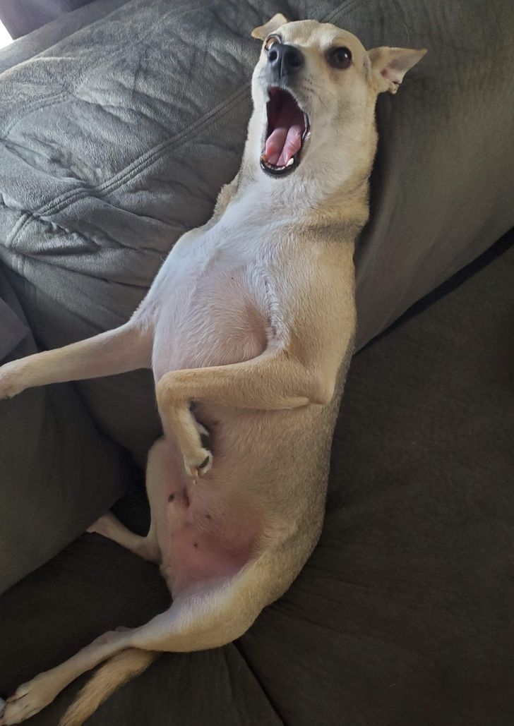 0d2e445571b108f607cb1dbc96