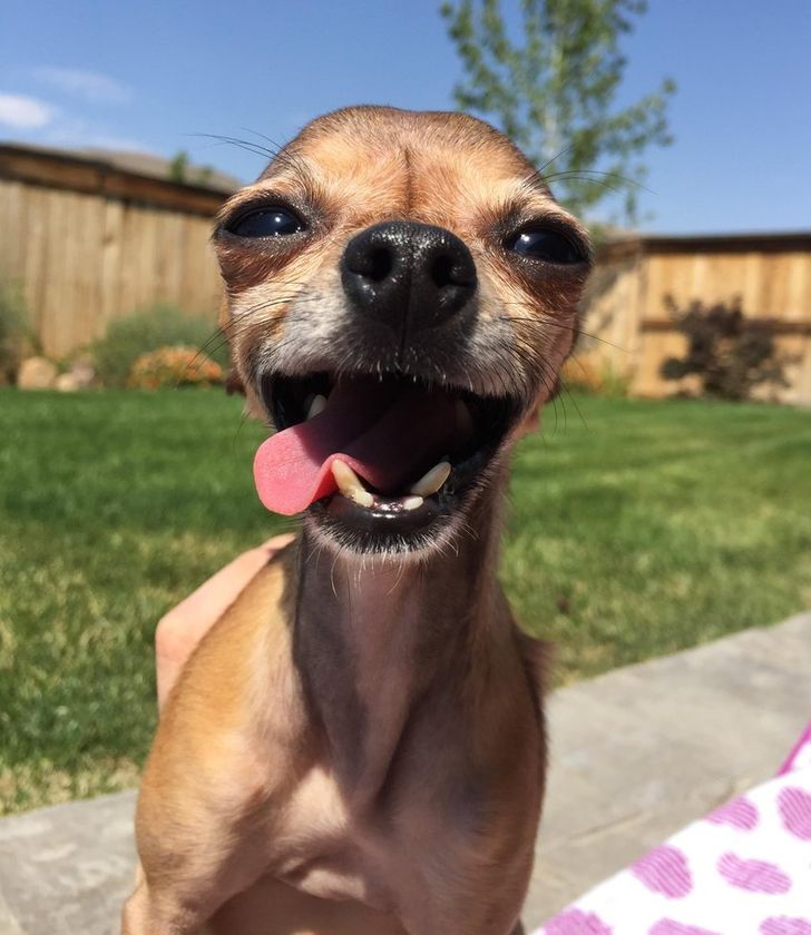 0d31af509fa8d0c83d9ec2b045