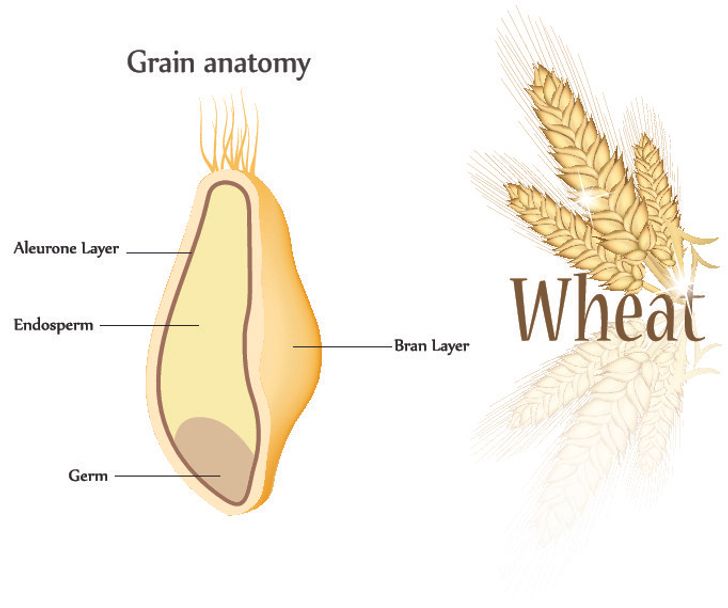 0d3c585f6b9ec40a26a9ff8cc9