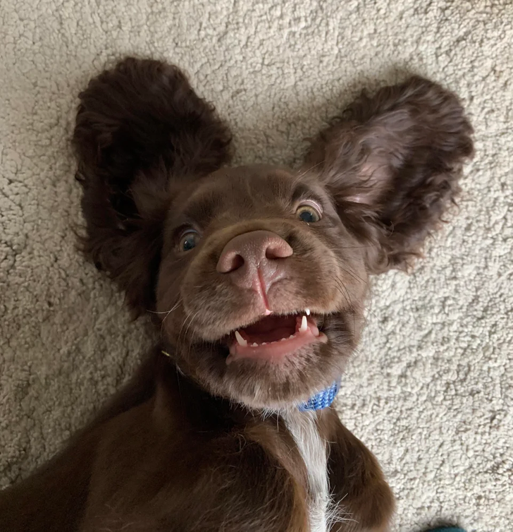 0d3df4537bb7db224703b20b48