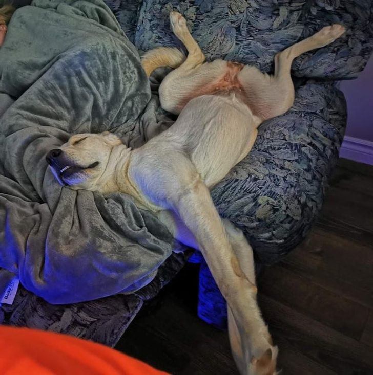 0d412a5f8fbd0d4e7efdbae100