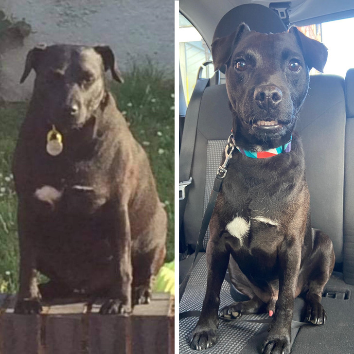 0d41c25ad0a01ea152ea8b2d98