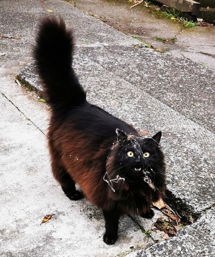 0d57445a098c7049c6bc7734fd