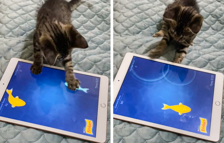 0d65335e89a715e61465cbb981 0d65335e89a715e61465cbb981