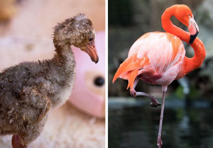 0d658852ea9b476fcf2b222ef4