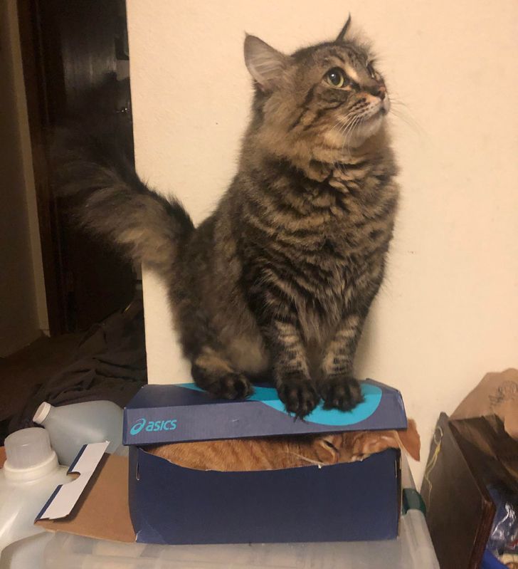 0d65e9541fa14e46aa6776dac2