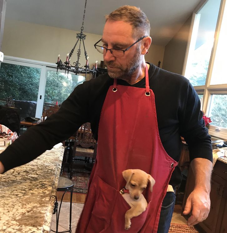 0d67b458838f72a0aac11a9e65