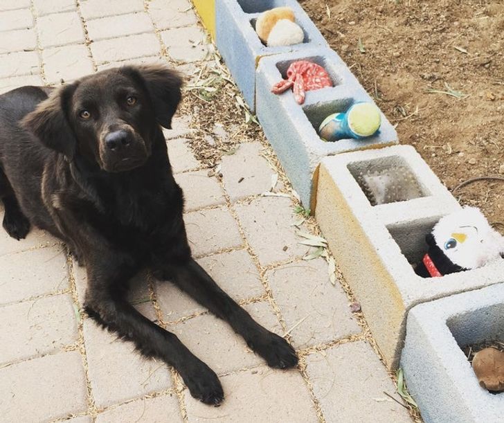 0d6bda598c94b79429d9536041