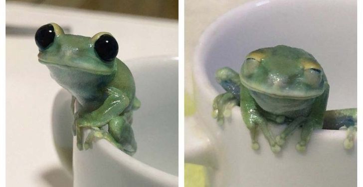 0d714654cbb7970d3b8feb0690