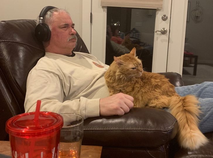 0d737e53c583042d40477c93dc