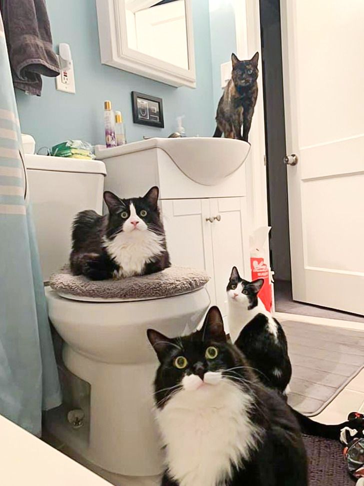 0d7b055679a272f354afc2c645