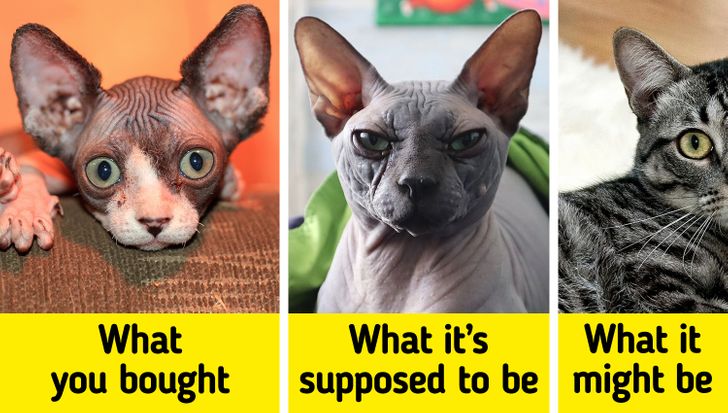 0d7e44521aa54cfc5e47c5209d