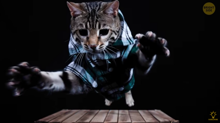 0d81a3553f82027329be569f9c