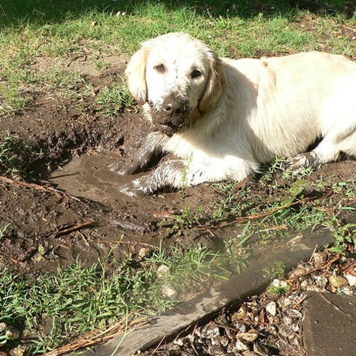 0d82fb567ea775001b42986800 0d82fb567ea775001b42986800