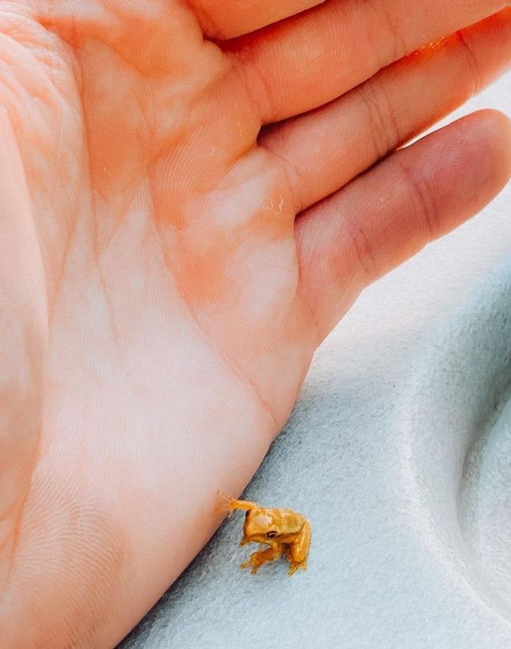 0d8b745f2f89d3e29dda92a367