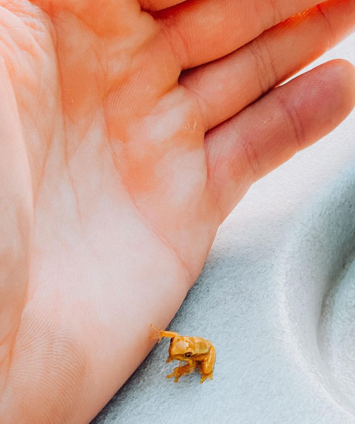 0d8d585384b085d4e2335cce66