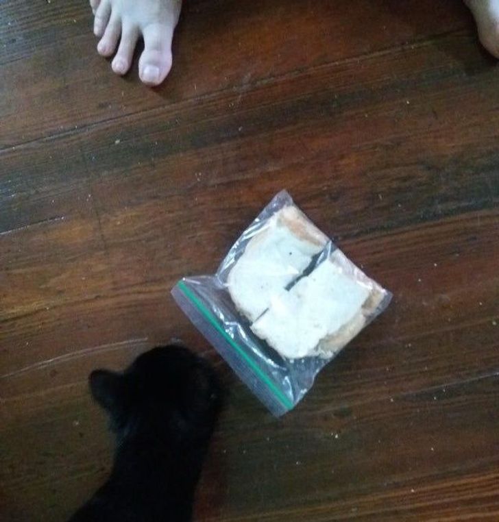 0d8e455ed4aeb4c77c8ff45dc9