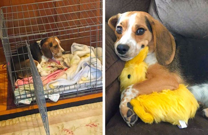 0d91a057cc9e6c2cc2f2ede837