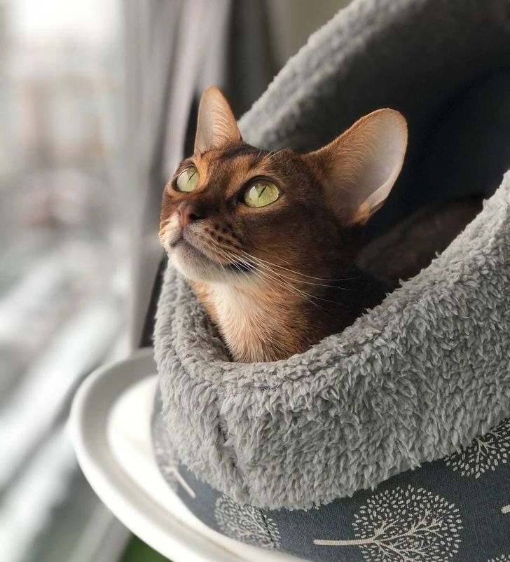 0d94cb518b86b50cf18ba99f87