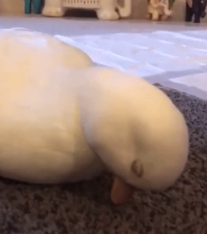 0d99805a5ead991e9e4bb655a8