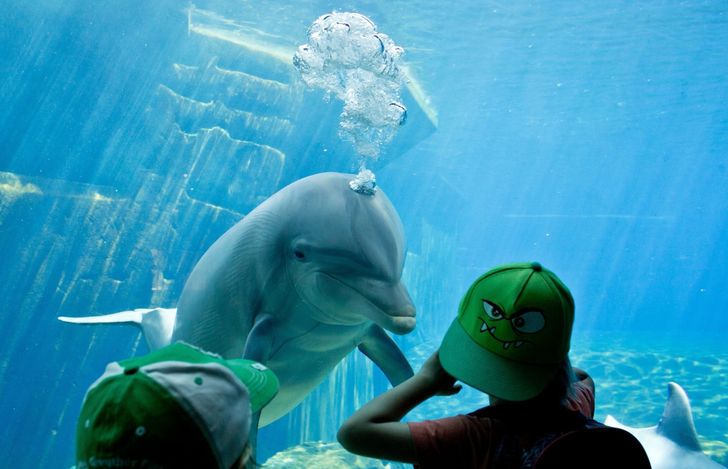 0da0e35fad8906377c1279846a