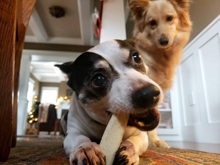 0db5965767a391c6d3cfdc283b