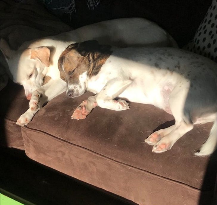 0db915597badd806a4513c77dc