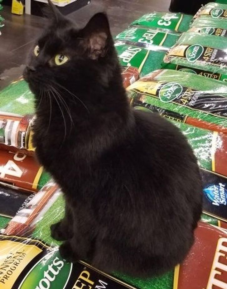 0dc1a6504eb1f82c95cc356f45