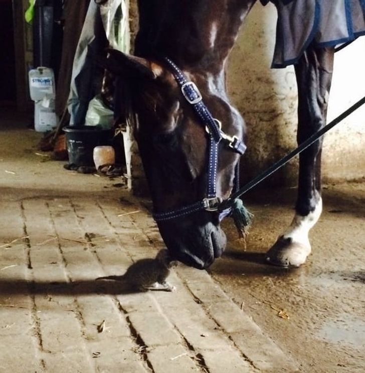 0dc587580892313de3cf8d6754