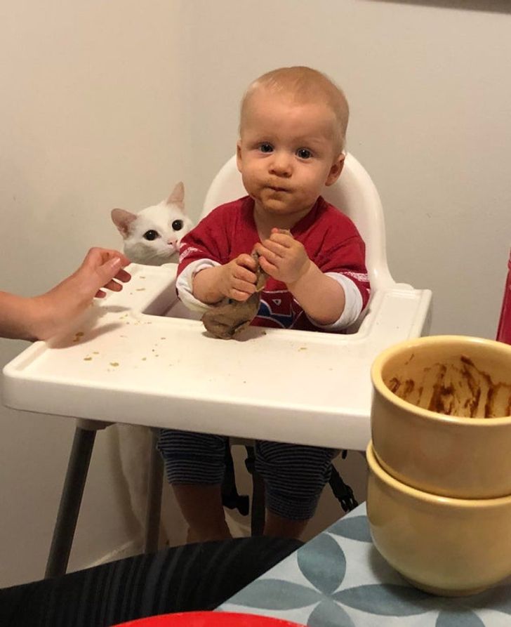 0dd09d5ad8b8d83fa023f23af8