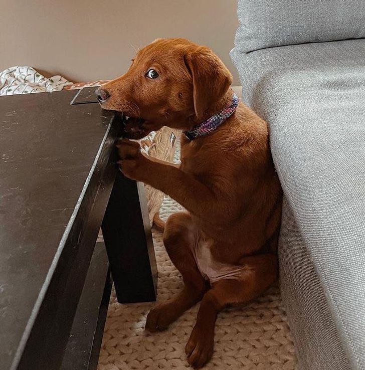 0dd0c350f9a8d6183100a2031f