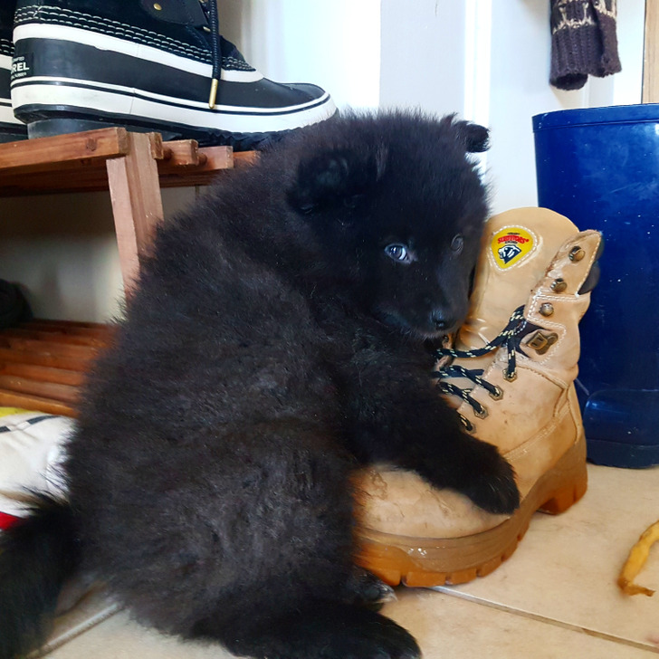 0dd6915b288ccf685af29f086b