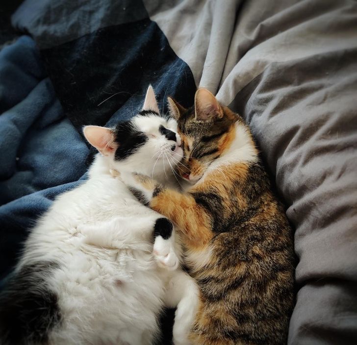 0dd96f5f4aaedab8a309b8207c