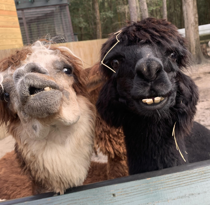 0ddc7c506487672b65287425bb 0ddc7c506487672b65287425bb