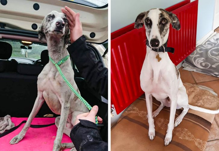 0ddf7659bb9b61c2b916866833