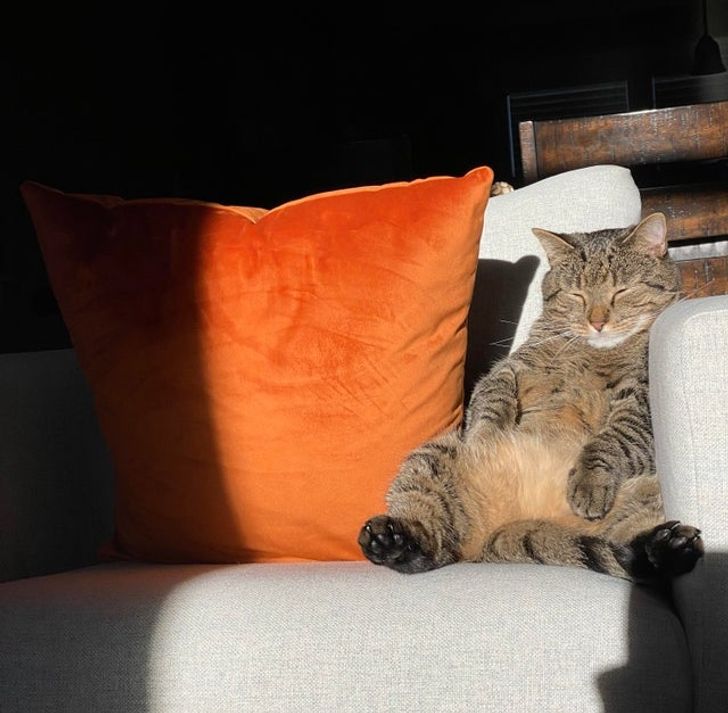 0de0e55dd2823a6bc47edd587d