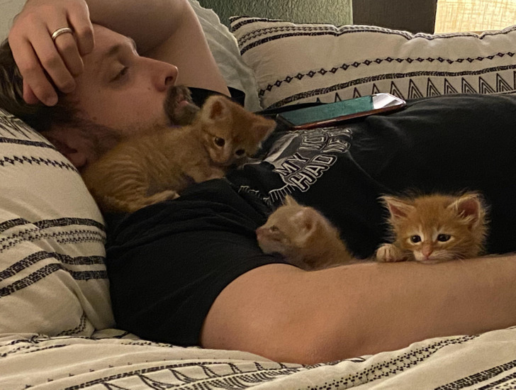 0de9a353a5a3239ec255487281 0de9a353a5a3239ec255487281