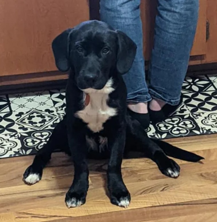 0deb6d5c36a6adb02739724856