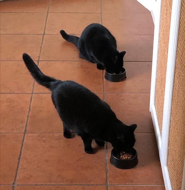 0ded8b58e28b99e0bc669345c0