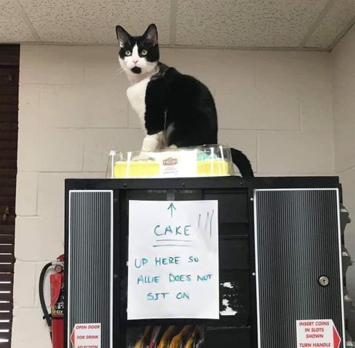 0df99657688ba7a6dbe8c49376