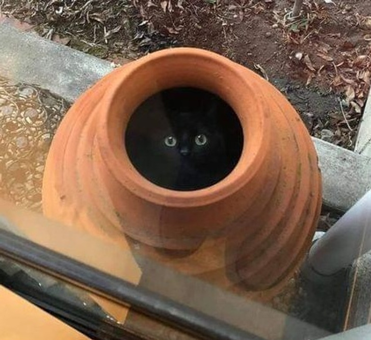 0dfecd5a9eb10e7795ecef3310