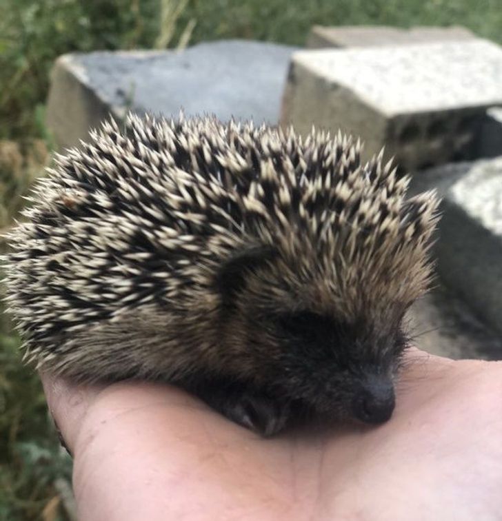 0dff845a28bf31e5fde2a863fd