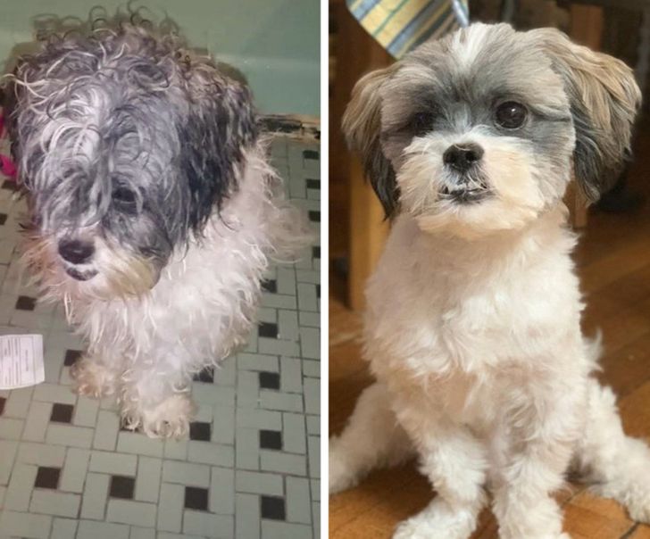 0e00e55fc6a8a4f4175db8ac73