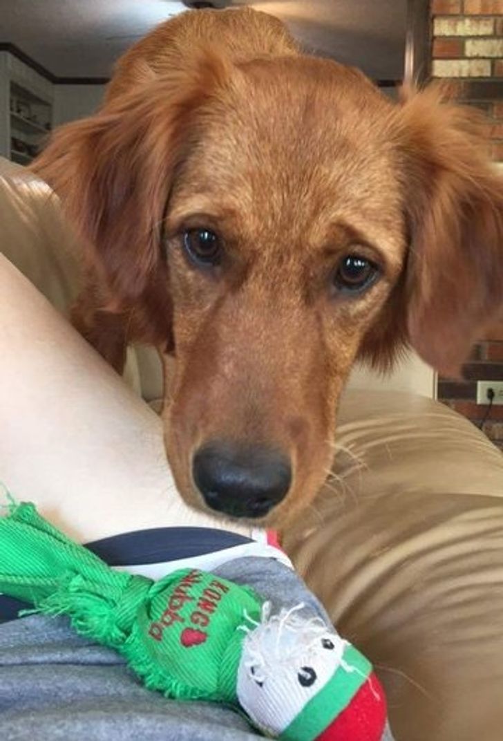 0e01e751e580e58fd95dceadd3