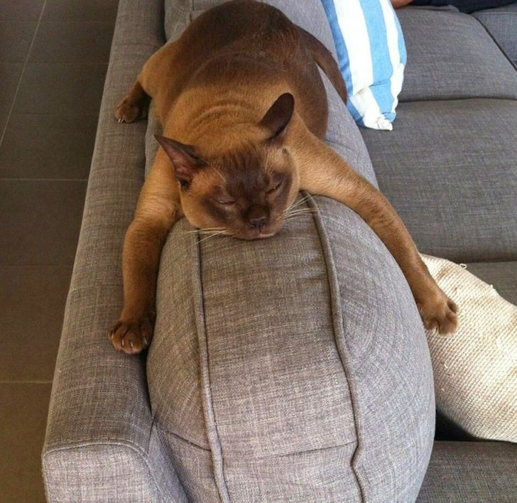 0e01f35ca6967a9d9dc2173e3e