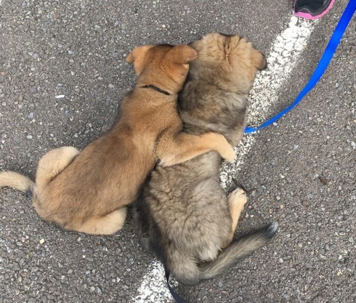 0e03355347a416cd2db0fe829b