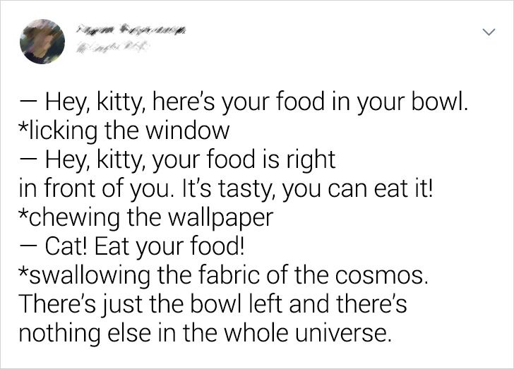 0e04a955b9931657facfea6718