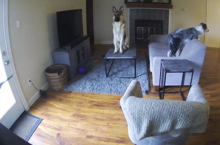 0e181a57a9999150e83ab6d8e0