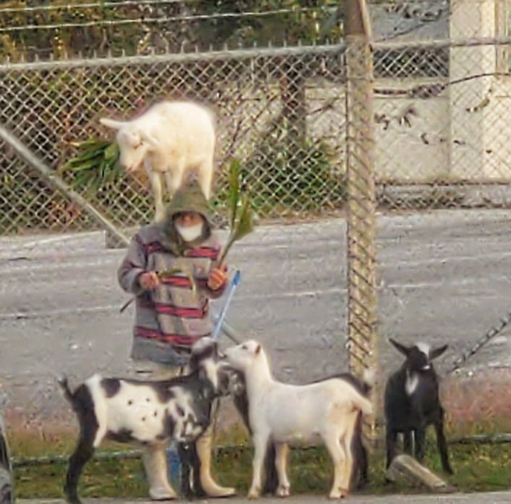 0e183c5e57940a8411b0b92b81