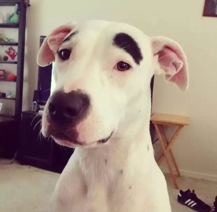 0e1d4a555389b1dfd767d5c60d